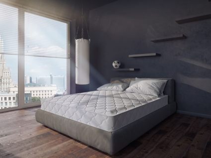 Матрас Evita Synergy Plus 74